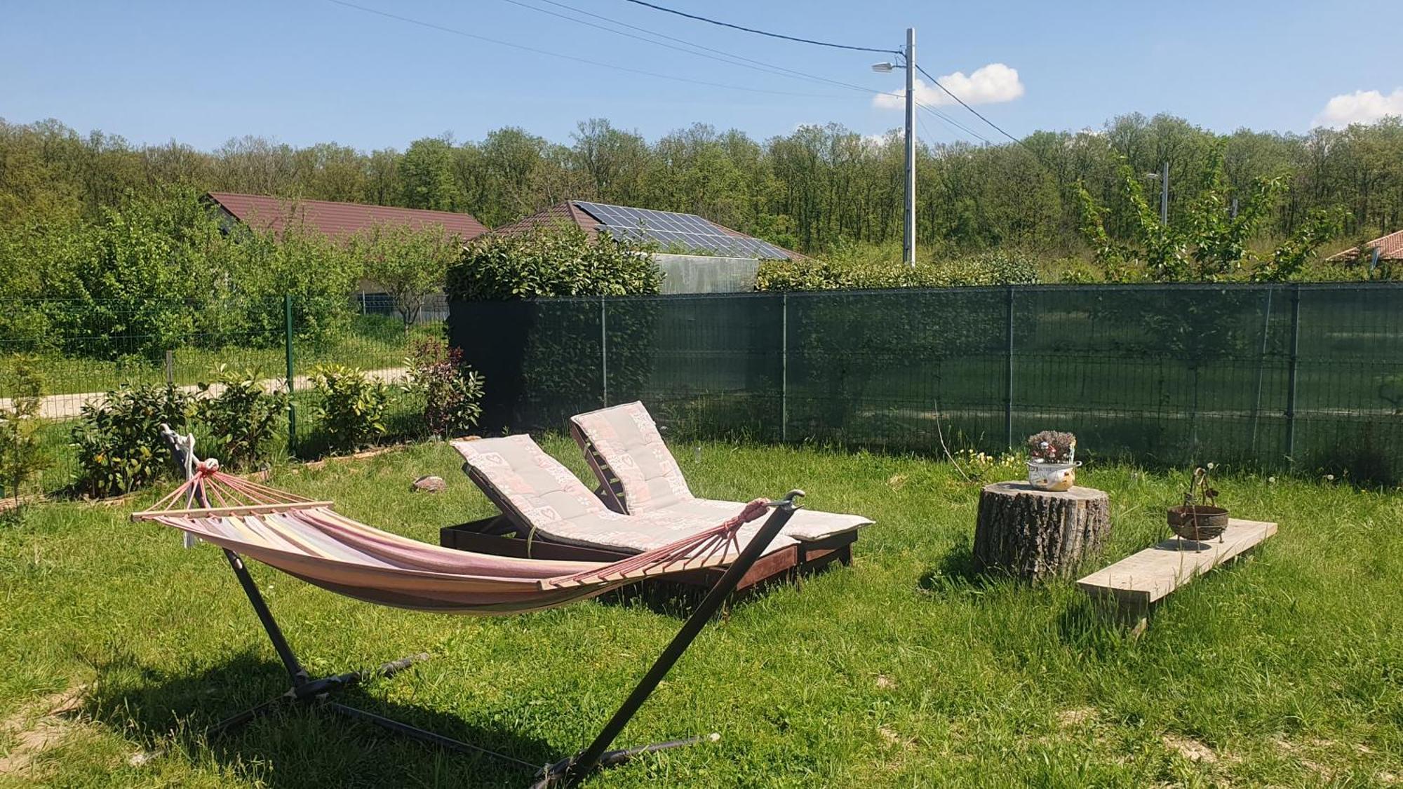 Forest Relax Near Oradea -Pet Friendly Les Eksteriør bilde